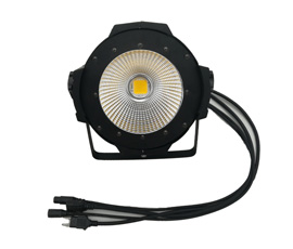 100/200W  COB Light